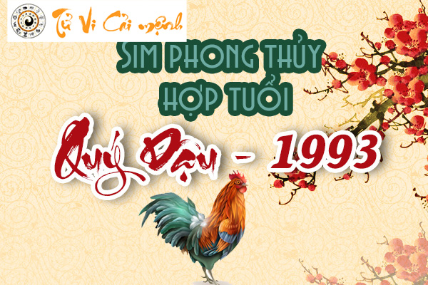xem-sim-phong-thuy-hop-tuoi-quy-dau-1993
