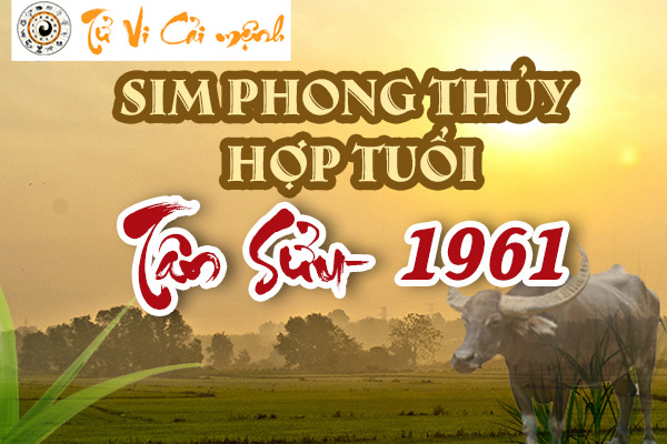 xem-sim-phong-thuy-hop-tuoi-tan-suu-1961
