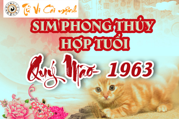 xem-sim-phong-thuy-hop-tuoi-quy-mao-1963