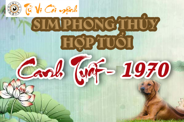 xem-sim-phong-thuy-hop-tuoi-canh-tuat-1970