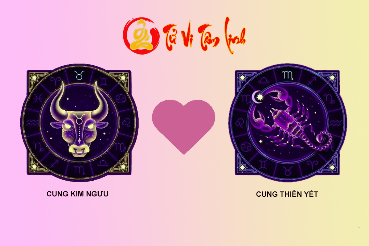 Cung Kim Ngưu và Bọ Cạp có hợp nhau không trong mối quan hệ lâu dài?