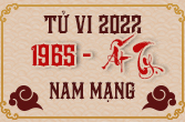 Luận tử vi tuổi Ất Tỵ năm 2022 nam mạng tuổi 1965 - Xemsomenh.net