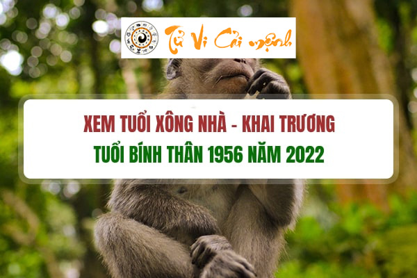 tuoi-xong-dat-mo-hang-dau-nam-2022-cho-tuoi-binh-than-1956