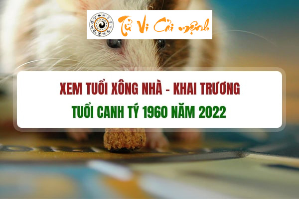 tuoi-xong-dat-mo-hang-dau-nam-2022-cho-tuoi-canh-ty-1960