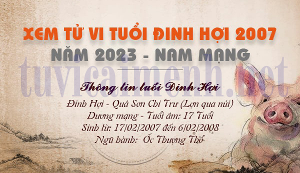 Xem tử vi tuổi Đinh Hợi 2007 Nam Mạng năm 2023 chi tiết đường tình duyên và học tập