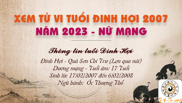 Tử Vi tuổi Đinh Hợi 2007 Nữ Mạng năm 2023