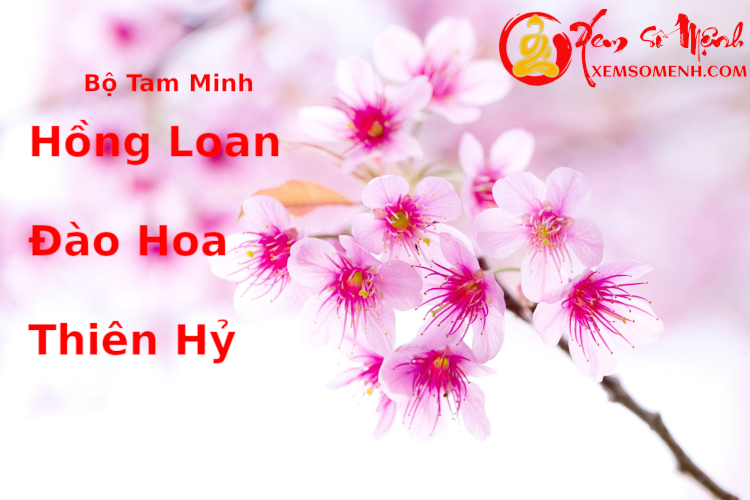 Luận giải ý nghĩa bộ Tam Minh - Đào - Hồng - Hỷ trong tử vi