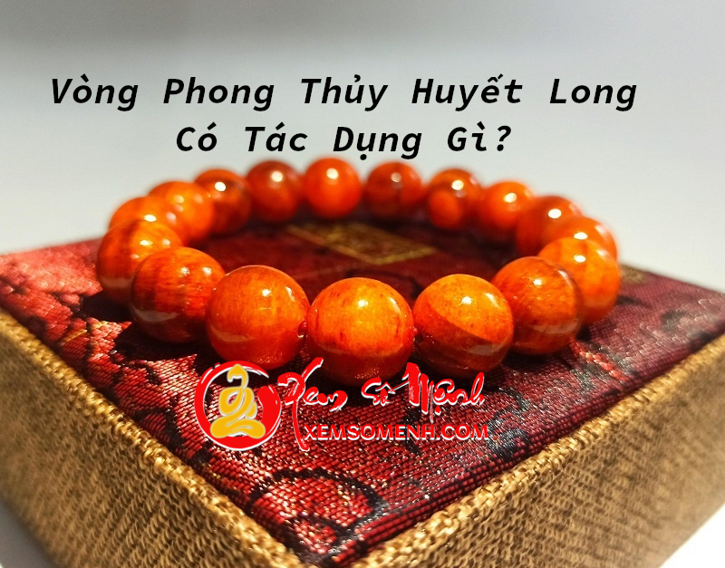 Vòng phong thủy Huyết Long - Những tác dụng kì diệu ít người biết