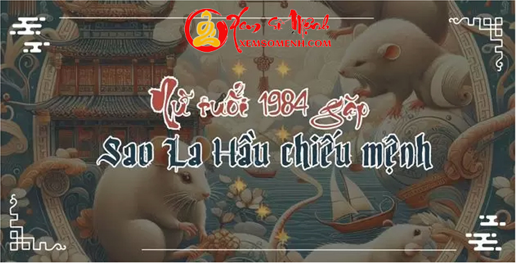 tử vi tuổi giáp tý năm 2025 nữ mạng