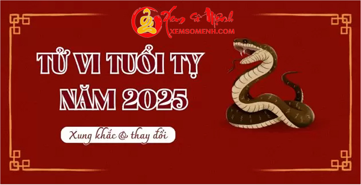 Tử Vi Tuổi Tỵ Năm 2025 - Luận Đoán Vận Mệnh Tốt Xấu