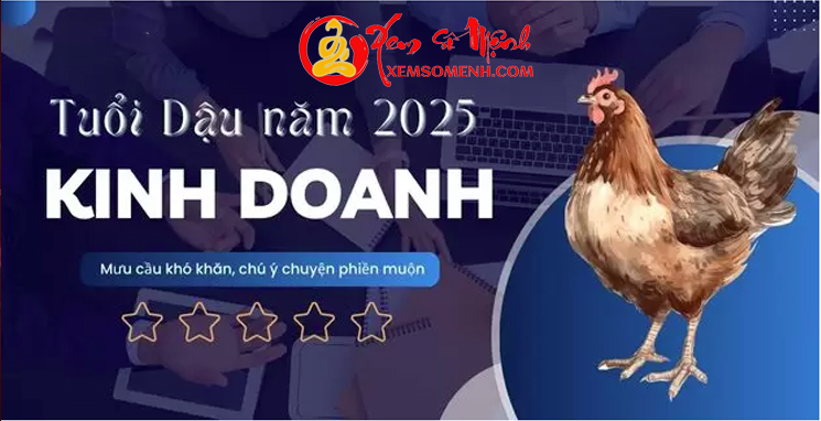 tử vi tuổi dậu năm 2025