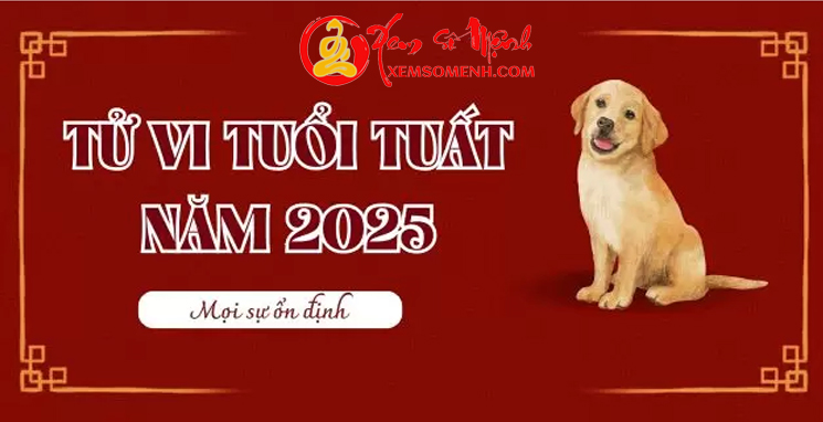 Xem Tử Vi Tuổi Tuất Năm 2025 đầy đủ và chi tiết