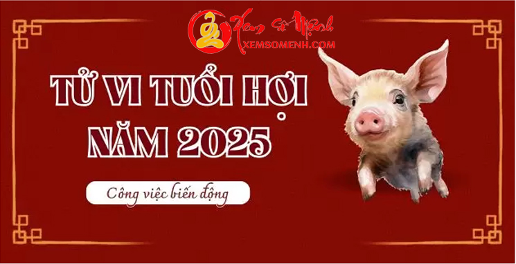 Bình Tử Vi Tuổi Hợi Năm 2025 Đầy Đủ Và Chi tiết