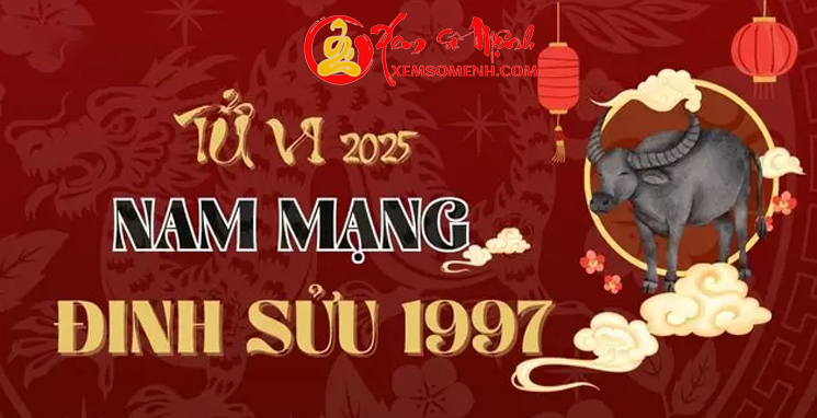 Tử vi tuổi Đinh Sửu 1997 năm 2025 nam mạng Chi Tiết