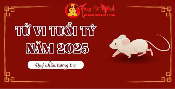 tử vi tuổi tý năm 2025