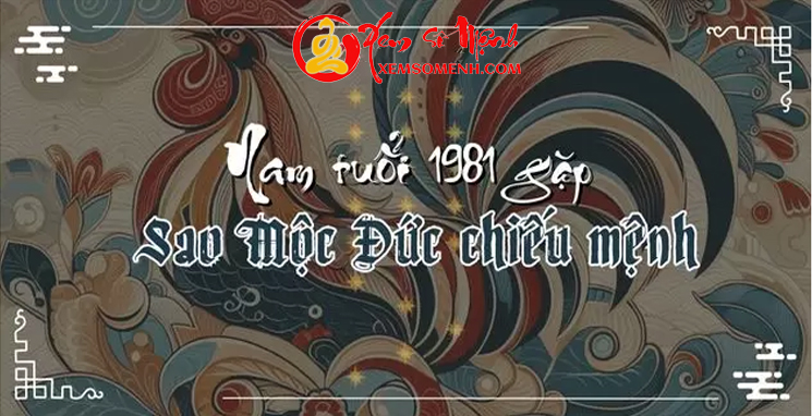 tử vi tuổi tân dậu nam mạng năm 2025