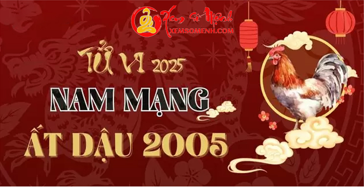 Tử Vi Tuổi Ất Dậu 2005 Nam Mạng Năm 2025 Chi Tiết