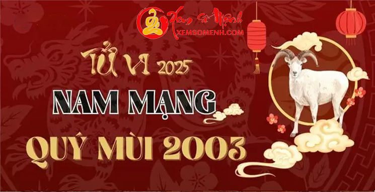 Tử vi tuổi Quý Mùi 2003 Nam mạng năm 2025 - Mưu Cầu Dễ Thành