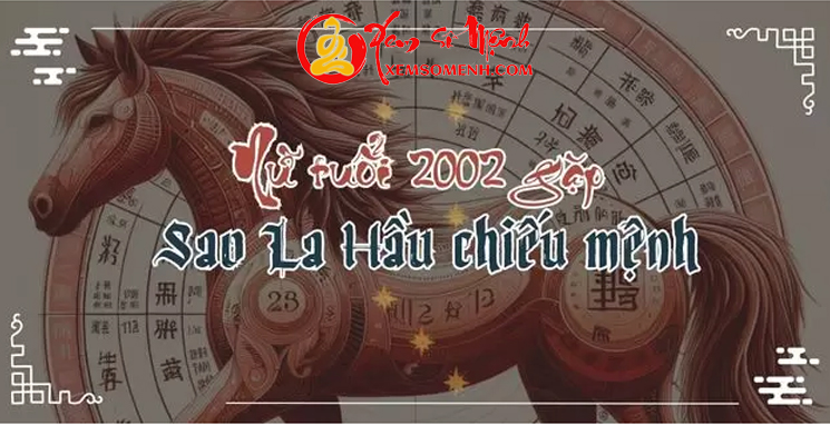 tử vi tuổi nhâm ngọ năm 2025 nữ mạng