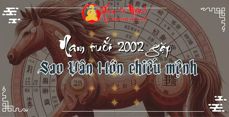 tử vi tuổi nhâm ngọ nam mạng năm 2025