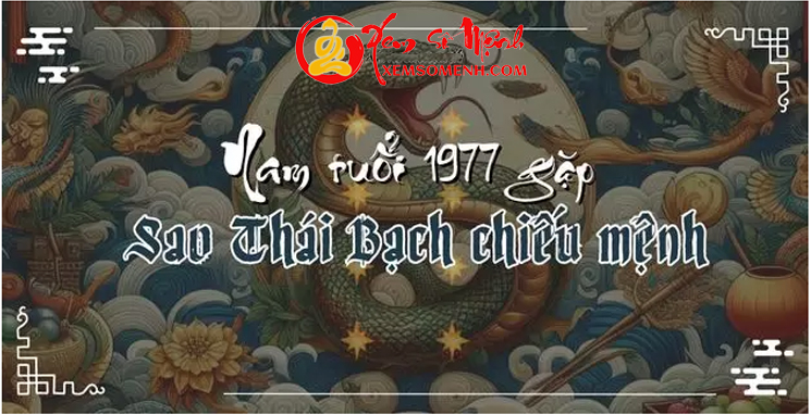 tử vi tuổi đinh tỵ nam mạng năm 2025