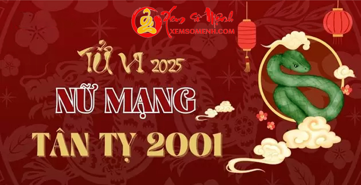 Tử vi tuổi Tân Tỵ 2001 nữ mạng năm 2025 - Luận giải Chi Tiết