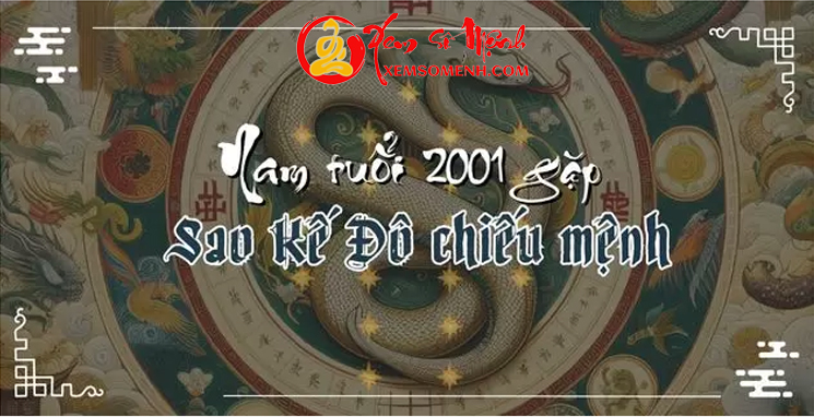 tử vi tuổi tân tỵ nam mạng năm 2025