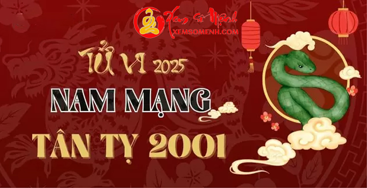 Tử vi tuổi Tân Tỵ 2001 Nam Mạng năm 2025 - Kế Đô Chiếu Mệnh