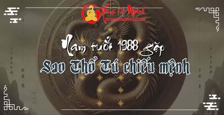 tử vi tuổi mậu thìn năm 2025 nam mạng