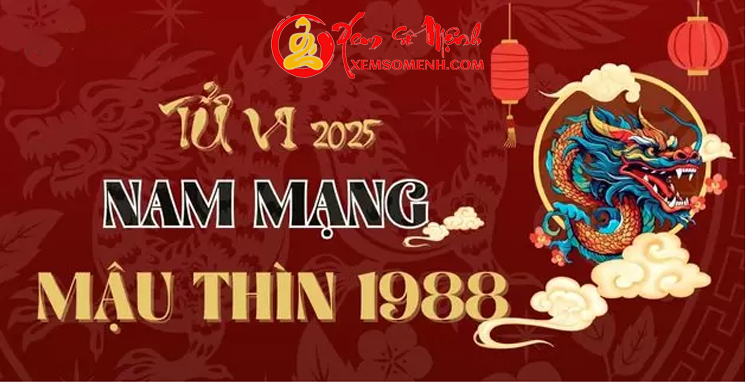 Tử vi tuổi Mậu Thìn 1988  Nam mạng năm 2025 - Thổ Tú Chiếu Mệnh