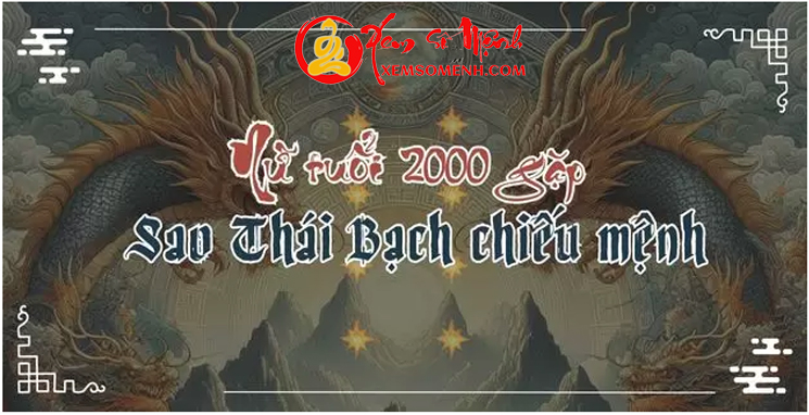 tử vi tuổi canh thìn năm 2025 nữ mang