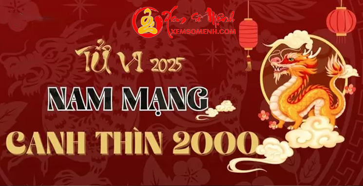 Tử vi tuổi Canh Thìn 2000 nam mệnh năm 2025 Chi Tiết