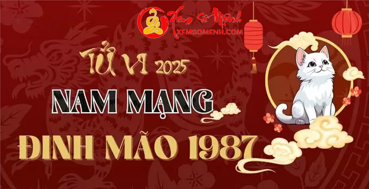 Tử vi tuổi Đinh Mão 1987 nam mang năm 2025- Đại Hạn Thiên Tinh