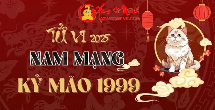 Tử vi tuổi Kỷ Mão 1999 Nam mạng năm 2025 - Mưu Cầu Khó Thành