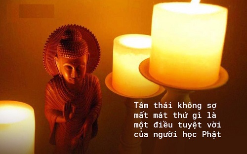 Loi Phat day ai cung co mot con bo va so mat no. Tam thai khong so mat mat thu gi moi la dieu tuyet voi cua nguoi hoc Phat