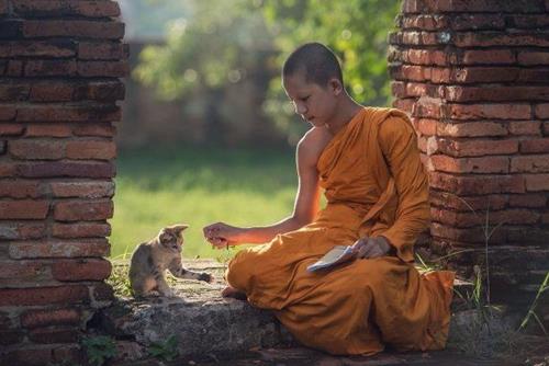 4 kieu nguoi khong duoc lam hai