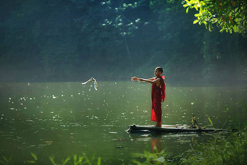 Phóng sinh một lần, phúc báo đời đời, nghiệp lành khai nở