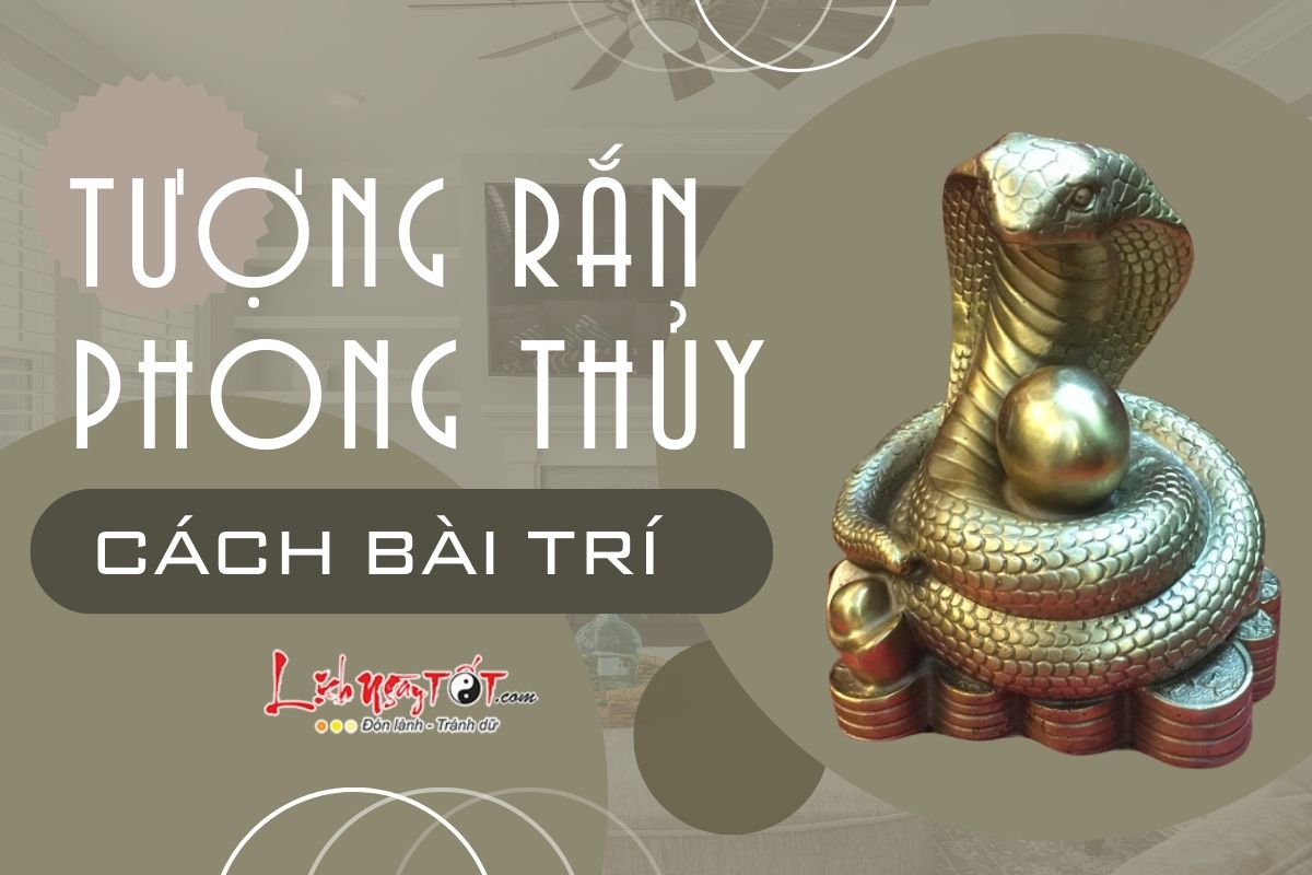 Cach dat tuong Ran phong thuy