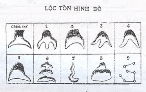 Muốn chọn huyệt cát, đừng bỏ qua thế núi Lộc Tồn