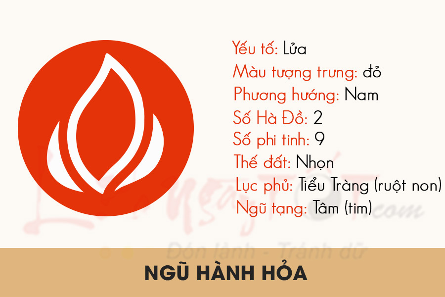 ngu hanh hoa