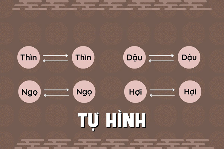 Tu Hinh Thai Tue