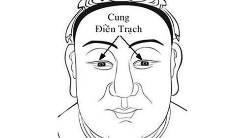 Cung dien trach rong