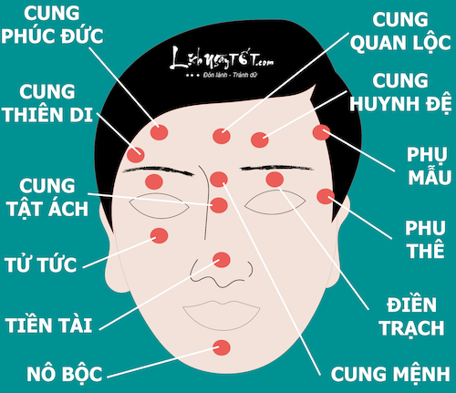 Xem tướng mặt là xem cái gì?