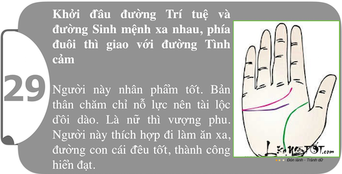 Xem long ban tay kham pha suc manh ca tinh P2 hinh anh goc 12