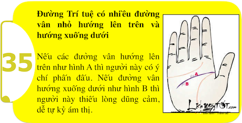 Xem long ban tay kham pha suc manh ca tinh P2 hinh anh goc 18