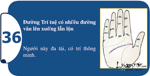 Xem long ban tay kham pha suc manh ca tinh P2 hinh anh goc 19