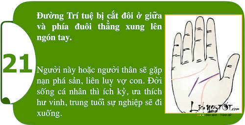 Xem long ban tay kham pha suc manh ca tinh P2 hinh anh goc 4