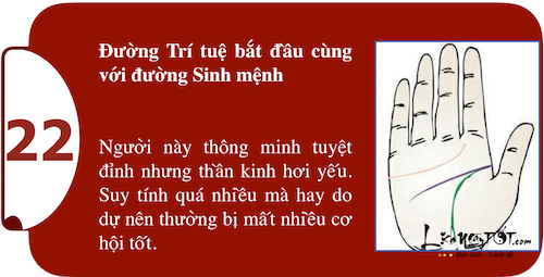 Xem long ban tay kham pha suc manh ca tinh P2 hinh anh goc 5