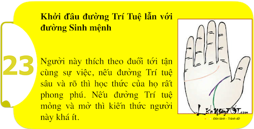 Xem long ban tay kham pha suc manh ca tinh P2 hinh anh goc 6