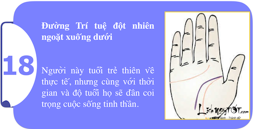 Xem long ban tay kham pha suc manh ca tinh P2 hinh anh goc